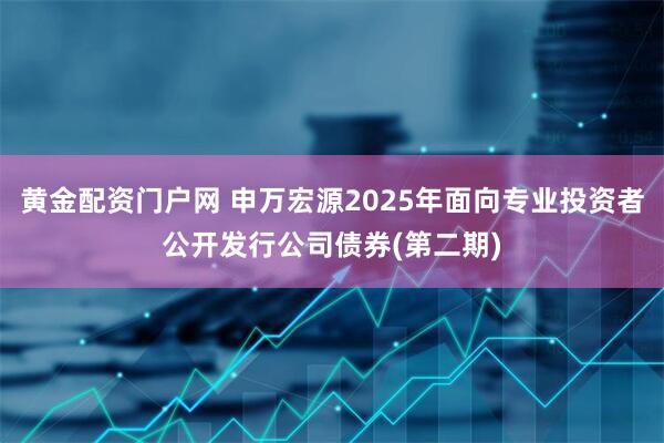 黄金配资门户网 申万宏源2025年面向专业投资者公开发行公司债券(第二期)