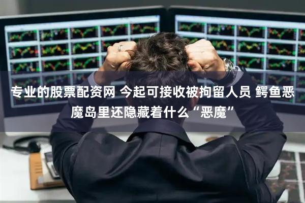 专业的股票配资网 今起可接收被拘留人员 鳄鱼恶魔岛里还隐藏着什么“恶魔”