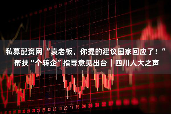 私募配资网 “袁老板，你提的建议国家回应了！” 帮扶“个转企”指导意见出台｜四川人大之声