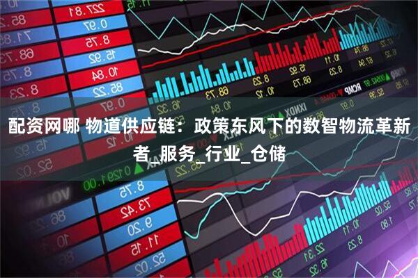 配资网哪 物道供应链：政策东风下的数智物流革新者_服务_行业_仓储