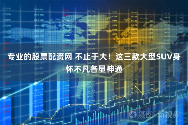 专业的股票配资网 不止于大！这三款大型SUV身怀不凡各显神通
